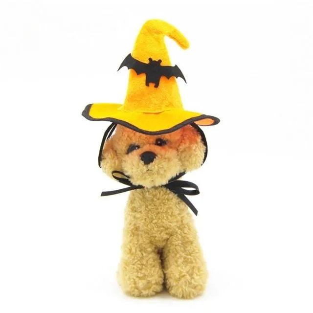 Halloween Party Pet Hats.
