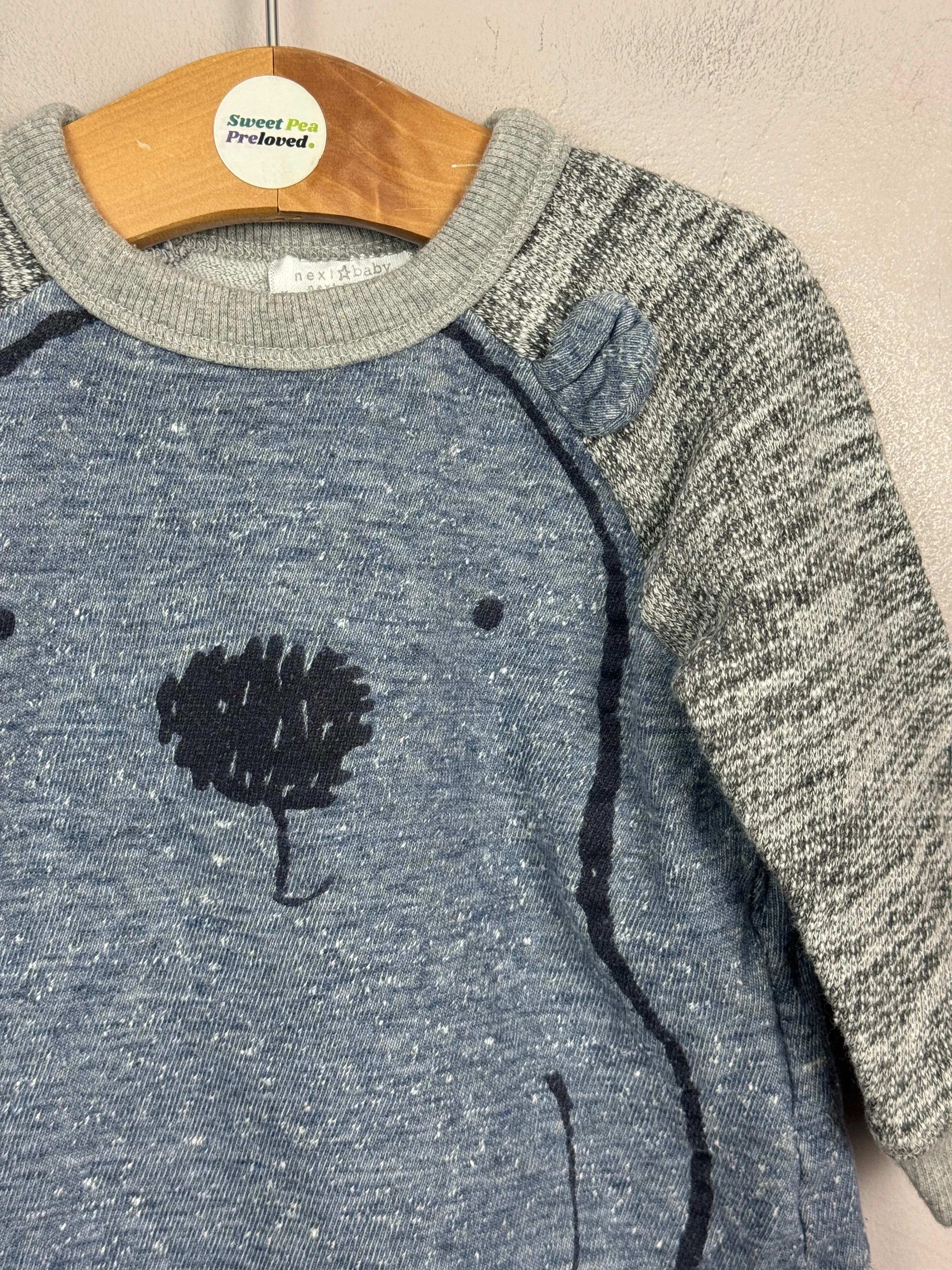 Next Bear Sweatshirt 6-9m