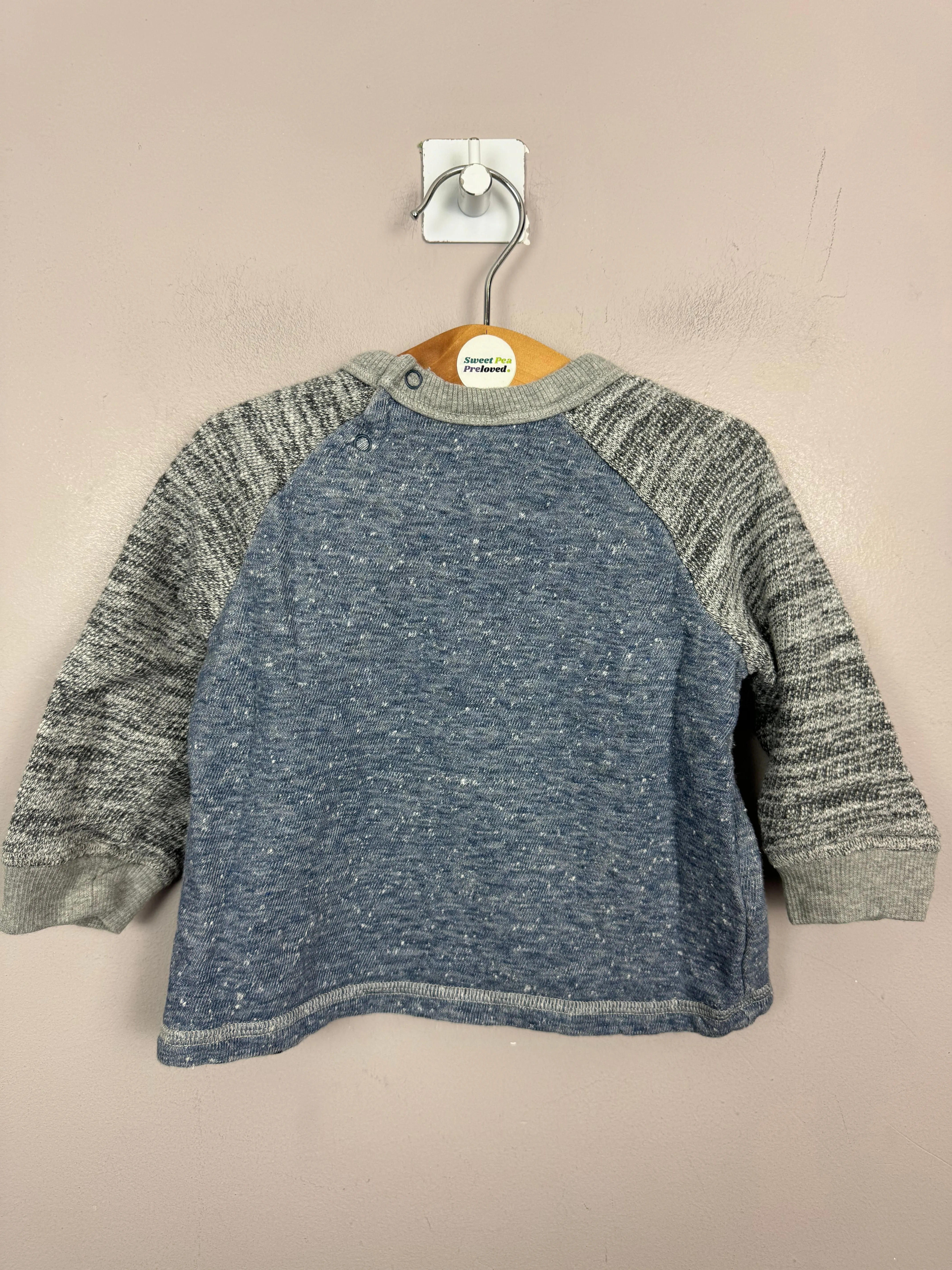 Next Bear Sweatshirt 6-9m